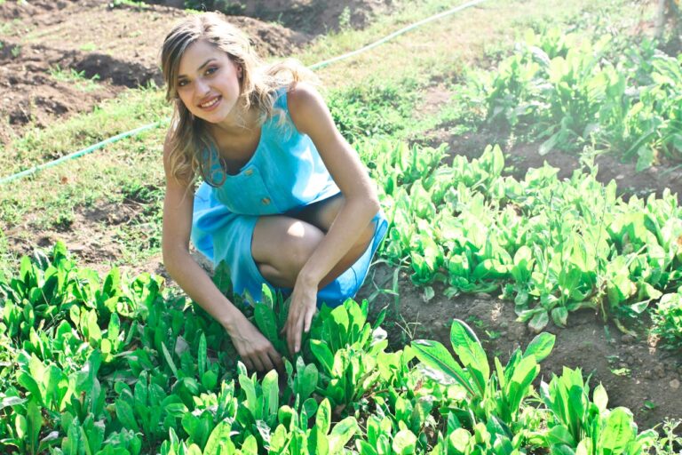 How to Build a Backyard Grocery Store: A Step-by-Step Food Garden Plan